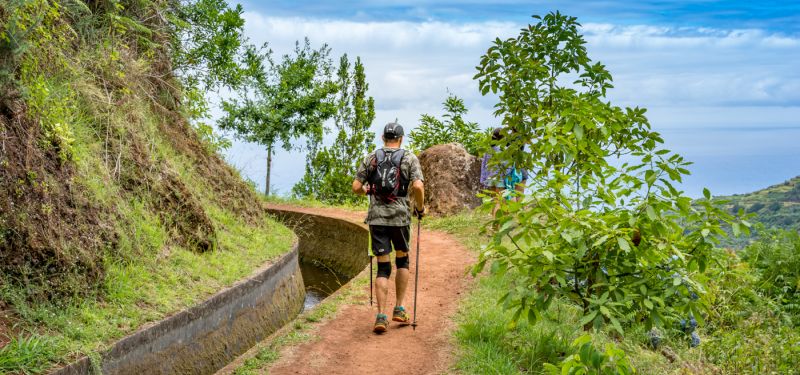 Madeira Trail Running